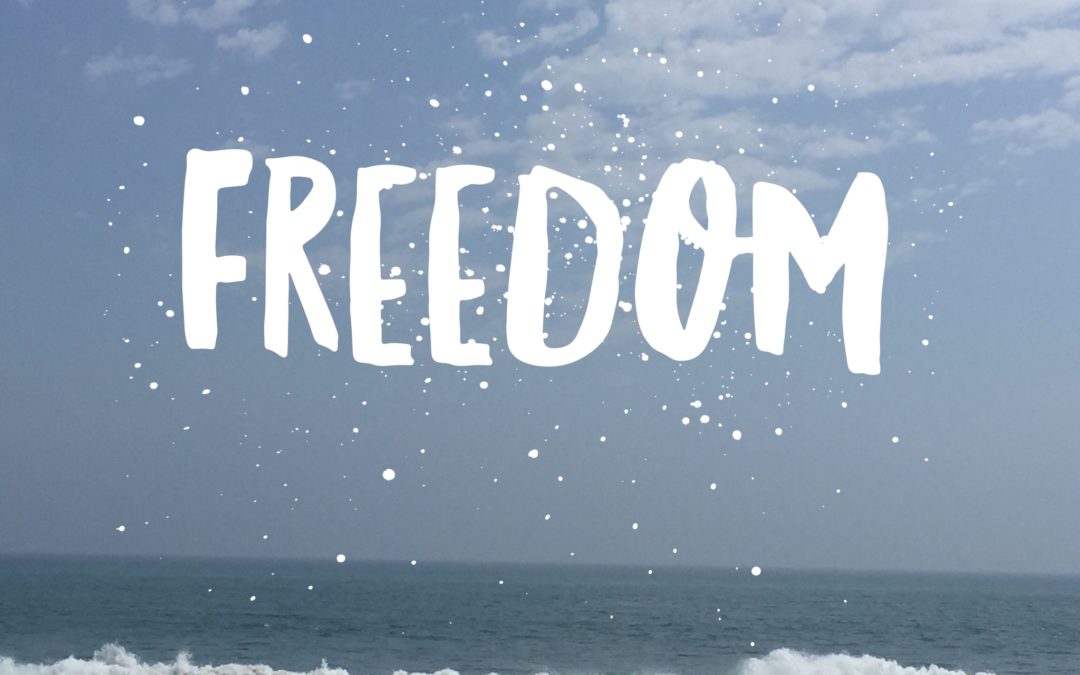 Freedom Is…