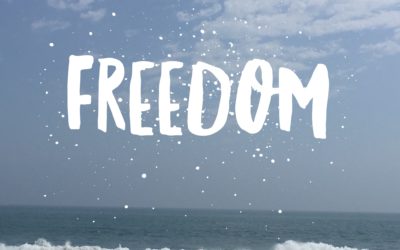 Freedom Is…