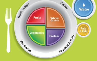 Pyramids, Plates, and Guidelines…Oh My!!!